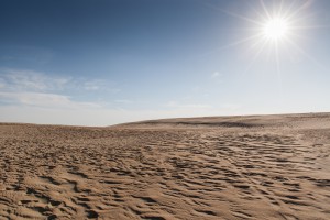 woestijn; desert-644113